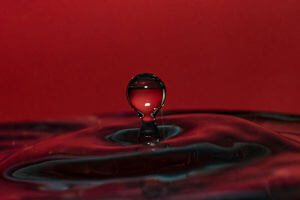 How Gratitude Can Transform Your Health